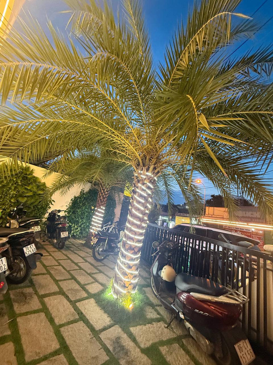 Sân villa lúc chạng vạng