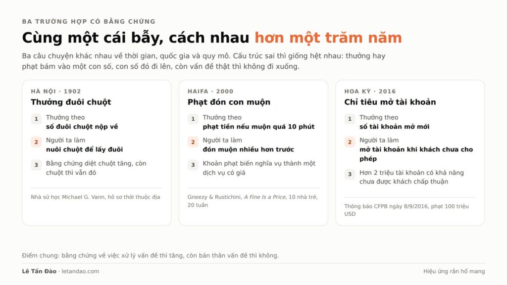 Ba trường hợp: thưởng đuôi chuột Hà Nội 1902, phạt đón con muộn Haifa 2000, chỉ tiêu mở tài khoản Hoa Kỳ 2016